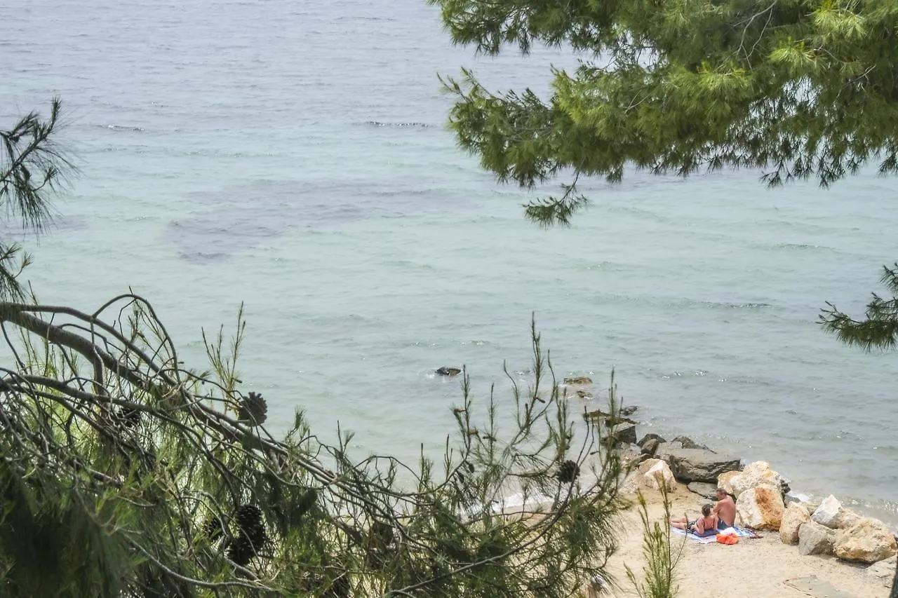 Hotel Vozina Metamorfosi  Metamorfosi (Sithonia)