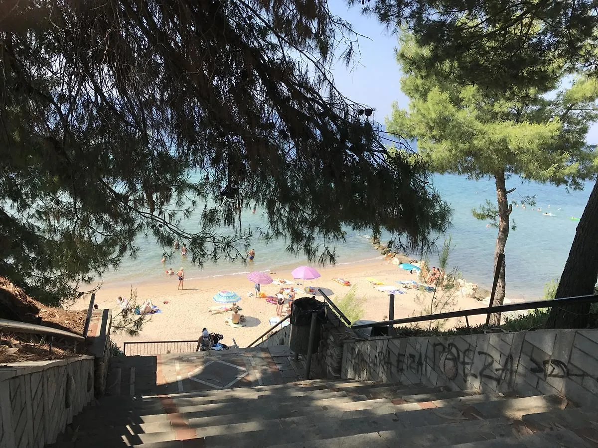 Hotel Vozina Metamorfosi