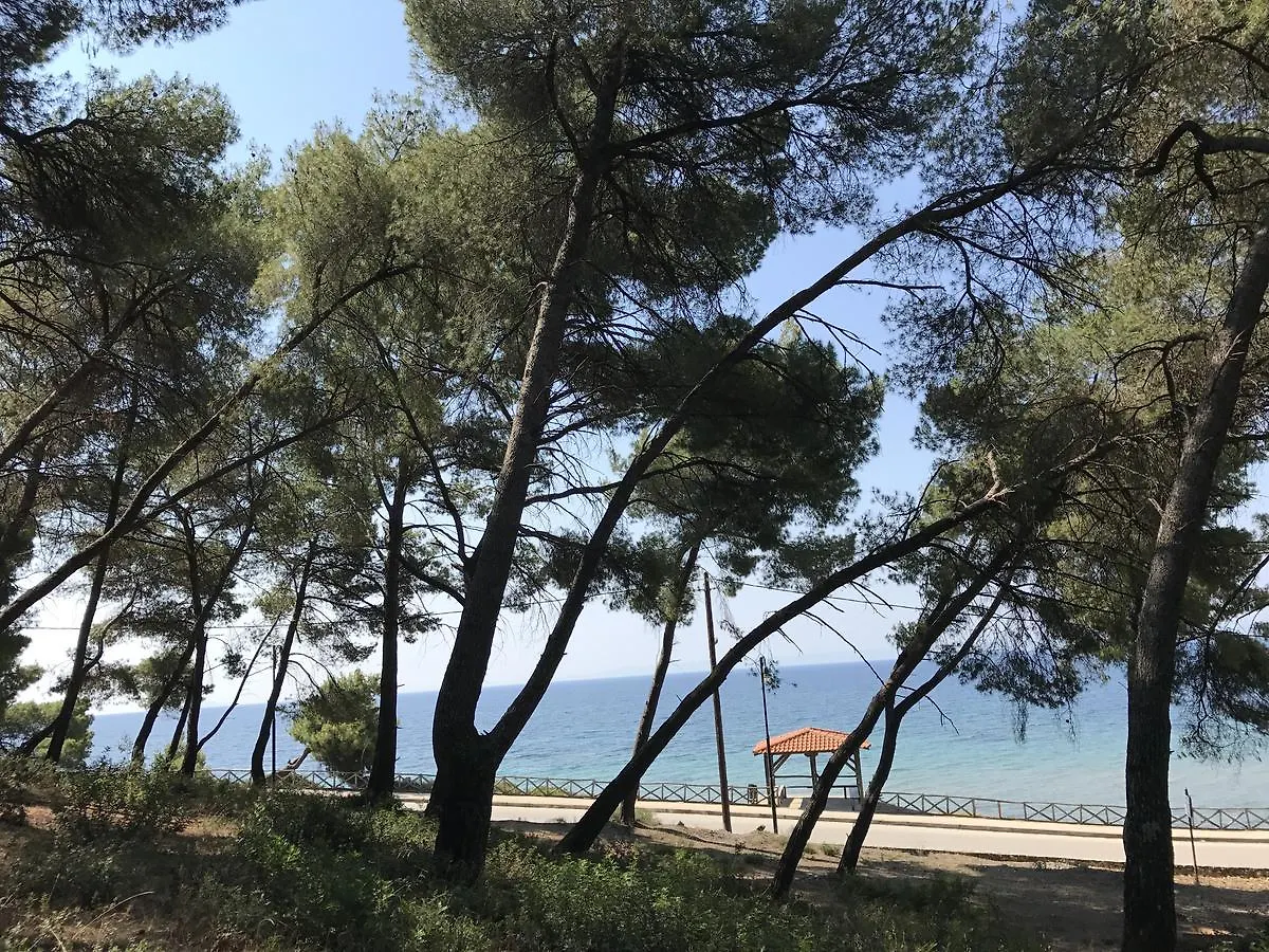 Hotel Vozina Metamorfosi  0*, Metamorfosi (Sithonia) Greece