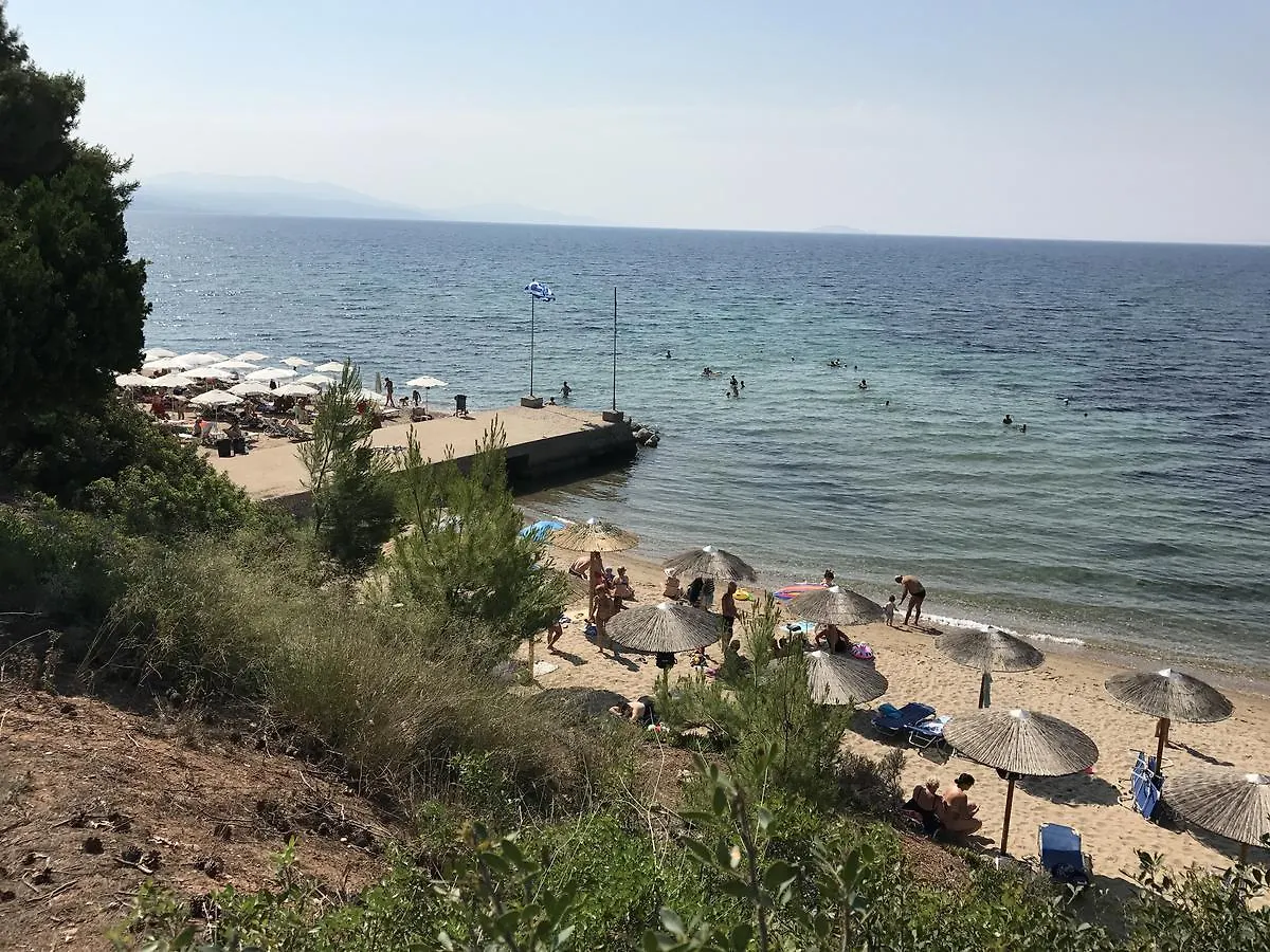 Hotel Vozina Metamorfosi  Aparthotel Metamorfosi (Sithonia)